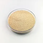 Feed Grade Feed Grade Vitamins CAS 67-48-1 Raw Material Multi Vitamin Feed Grade Choline Chloride Pure