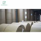 Paper cup paper food grade single wall pe coated paper in roll wholesale