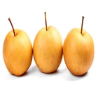 China Fresh Pears Pearfresh 2020 New China Fresh Pears Fruit