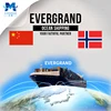 Sea Shipping Agent Service from China to Norway/Oslo/Stavanger/Alesund