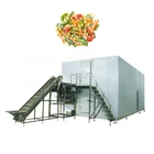 Quick freezing equipment iqf machine price
