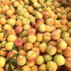 425ml canned yellow peaches slices in light syrup Chinese canned fruit