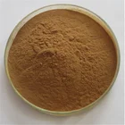 Ginkgo biloba extract USP ginkgo leaf powder