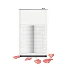China Guangzhou Competitive Price Green Replacement Home Room Honeywell Anion Air Purifier Hepa Filter