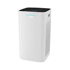 intelligent smart home negative ion type european air purifier hepa for US market