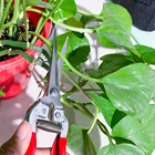 Straight snip pruner red garden shear pruning tree handheld garden scissors