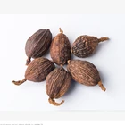 Cao Guo Origin China High Quality Spices Tsaoko for Wholesale