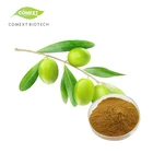 PAHs<50ppb BAP<10ppb meet EP standard Olive leaf extract 20% oleuropein