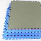 Gym judo jigsaw floor mats interlocking karate EVA martial arts tatami