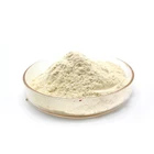 Pure AD garlic powder 100-120Mesh