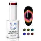 Unigel 5D/9D Shiny Galaxy 6 Colors Cat Eye Gel Polish /Private Label UV Gel