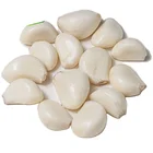 Peeled Garlic Garlic Garlic Fresh Peeled Garlic