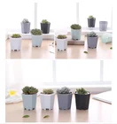 Pot New Color Creative Simple Thickened Octagonal Frosted Plastic Flower Pot