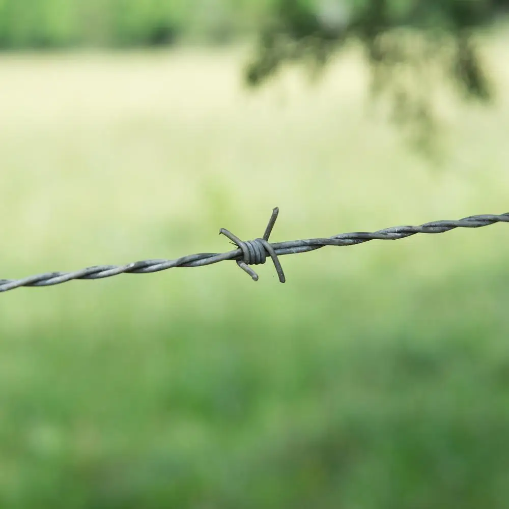 barbed wire .jpg