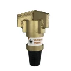 Oil Water Well Drilling PDC Drill Bit