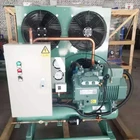 small/single compressor uint/cold room/Bitzer condensing unit