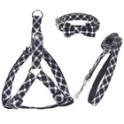 Training dog trellis braid nylon ribbon leash