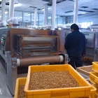 High Protein dry Mealworms for guppy fish food