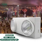 Free sample 1W 3W remote control emergency light battery emergency twin spot light for hotel