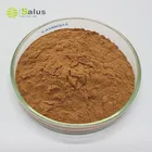Reishi Mushroom Extract Top Quality Organic Powder