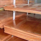 Earth Plate Plate Price High Quality Thick Manufacturers 99.9% Products Billet Copper Earth Plate
