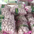 Natural Garlic Garlic White Garlic Natural Fresh White Garlic Normal White Garlic New Crop 2020