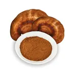 herbal supplements Red Reishi Ganoderma Pure Herbs Extract Powder