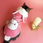 Top supplier buy cat clothes kitten apparel