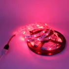 Light Strip Leds Rgb Ledrgb Light Strip Kit Decoration Lighting 150 Leds Copper Rgb IR Control