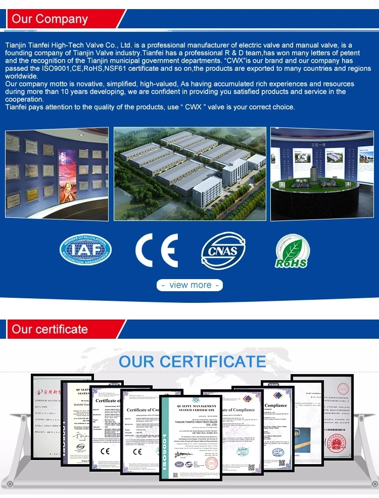 our company.webp.jpg