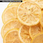 High quality Freeze-dried lemon dried fruit has a lot of Vitamin C