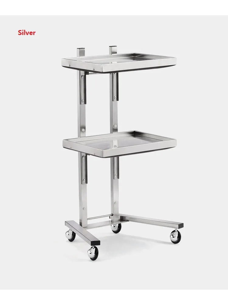 stainless trolley (8)