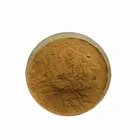 High Quality Anti-aging Mulberry Leaf Extract DNJ