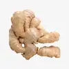 /product-detail/wholesale-market-price-for-fresh-ginger-chinese-mature-ginger-62418770607.html