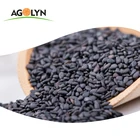 AGOLYN High Protein Wholesale Organic Raw Black Sesame seeds