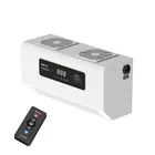 Generator Remote Control Wall Mounted 3G/H Ozone Generator
