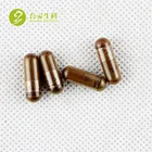 Factory Price Organic reishi mushroom extract powder capsules