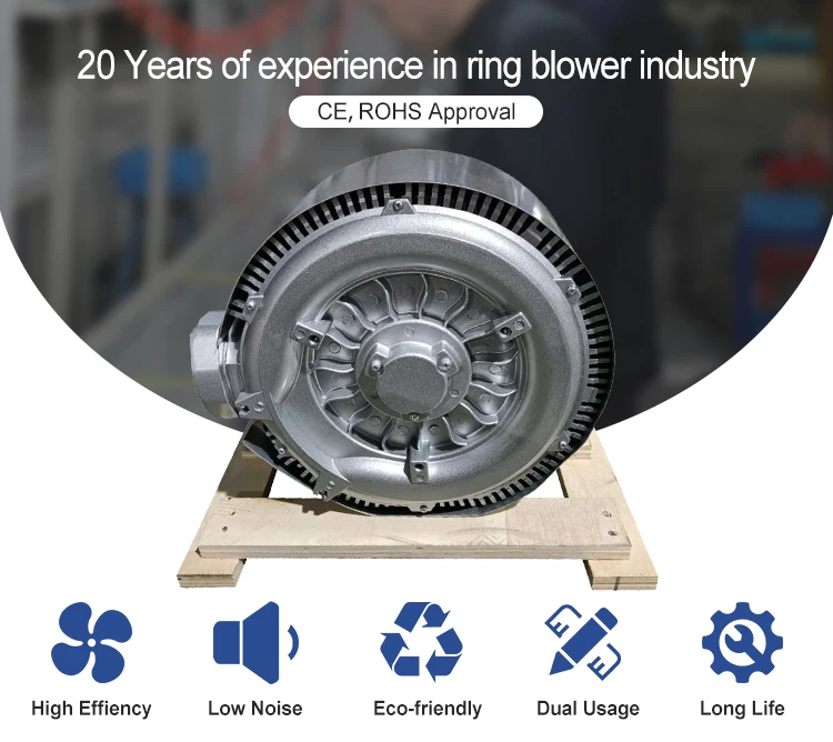 Ring Blower, 2LG420-7HA31, 2hp, 220V - detail 2