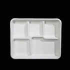 Biodegradable Rectangle Lunch plate with 5 compartment
