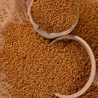 Factory direct tartary buckwheat tea best buckwheat tea with wholesale price