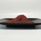 Powder Powder 100% Natural Bulk Organic Blueberry Powder