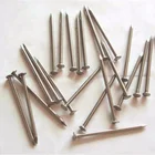 Hebei cheap building material from 1/2 inch to 7inch common round wire nails common nails wood nails
