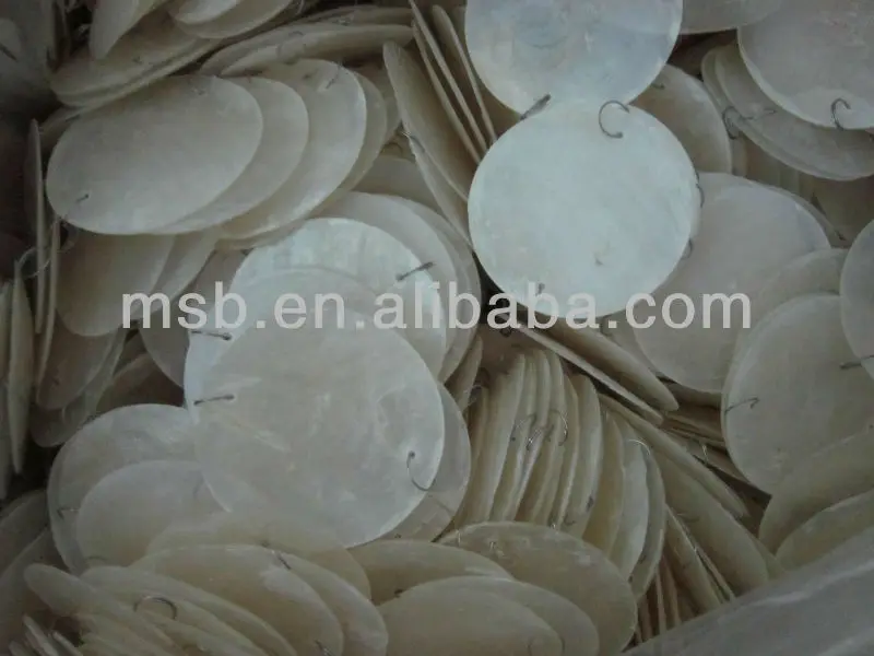 capiz shells with 2 holes.JPG