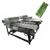 /product-detail/800kg-h-commercial-low-price-vegetable-root-cutter-with-lowest-price-60676011286.html
