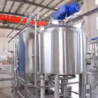 nano mini ALE IPA Beer brewing equipment beer manufacturing plant 100L 200L 300L 500L 600L per batch