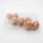 Plastic Egg Eggs Tray Manufactures Packaging Plastic High Quality Plastic Quail Egg Cartons 6 Pack Eggs Tray Carton