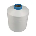 High Tenacity White Polyester DTY 150/48 Polyester filament yarn