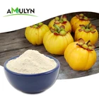 ISO Certified 100% Natural Garcinia Cambogia Extract Powder for Weight Loss
