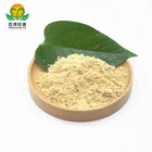 Packaging Customization Extract Powder Gmp Factory Supply Organic Hericium Erinaceus Extract Powder