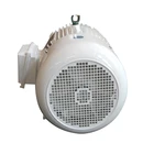 Electric Motor Electric NEMA Standard D Design High Power Electric Motor 7.5kw